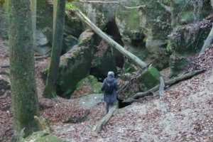 Welzheimer Wald - Hägelesklinge